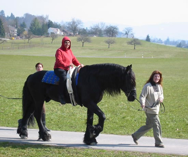 Molly riding a Friesian horse